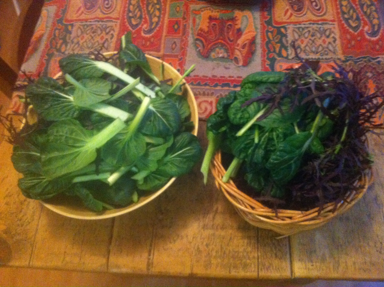 Two bowls of green leafy home grown veg