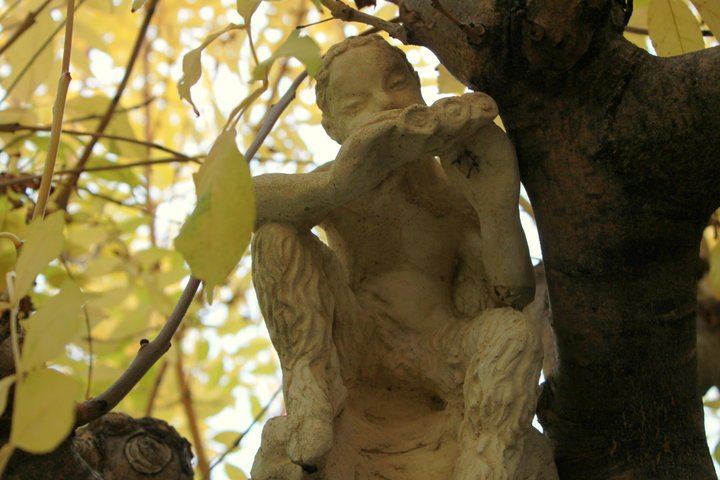 A statue of the god Pan in a tree.